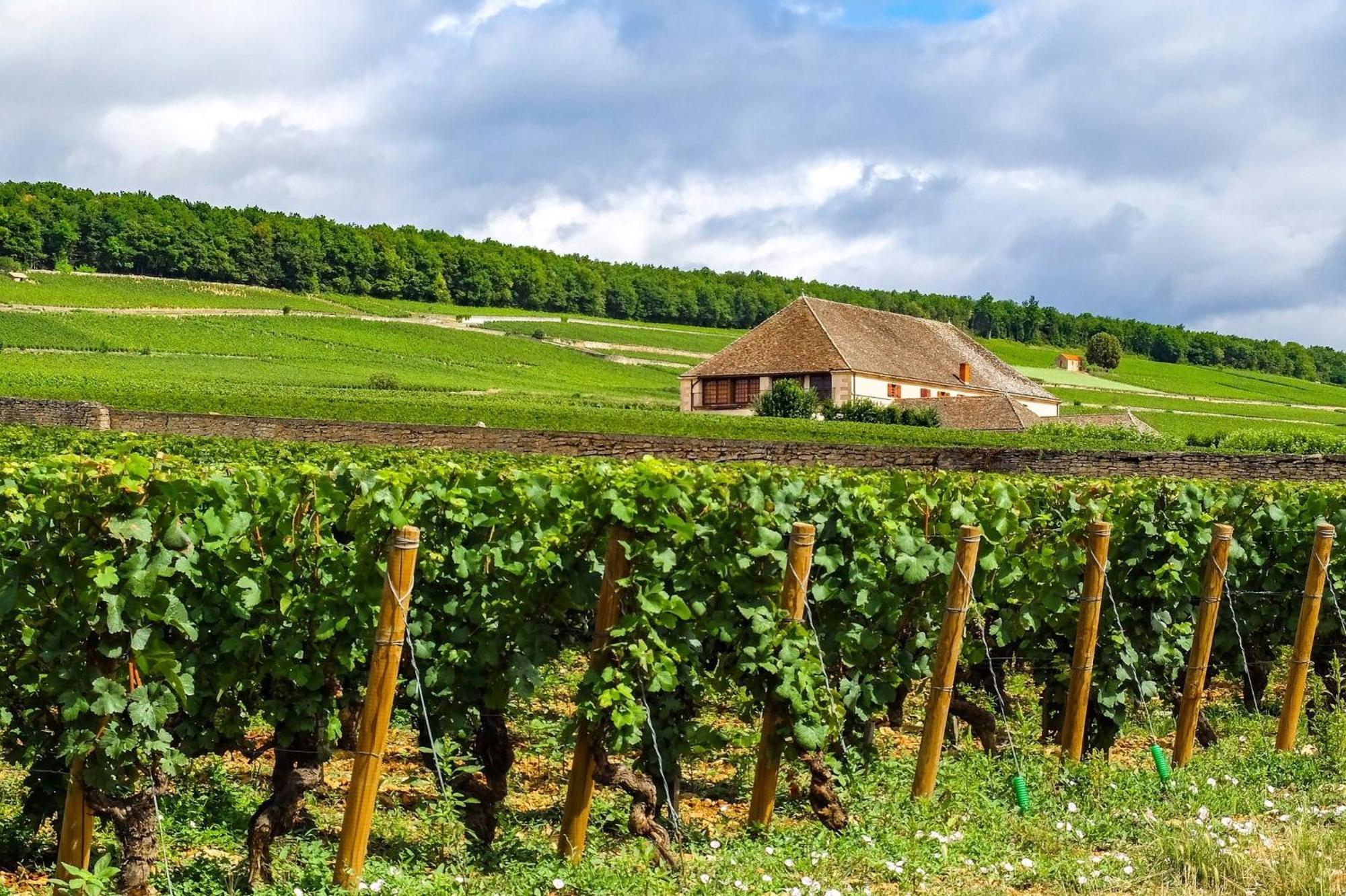 Voco Beaune , Cite Des Vins By Ihg Exterior foto